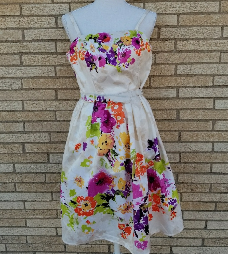 A beautiful dress for Spring size 4P